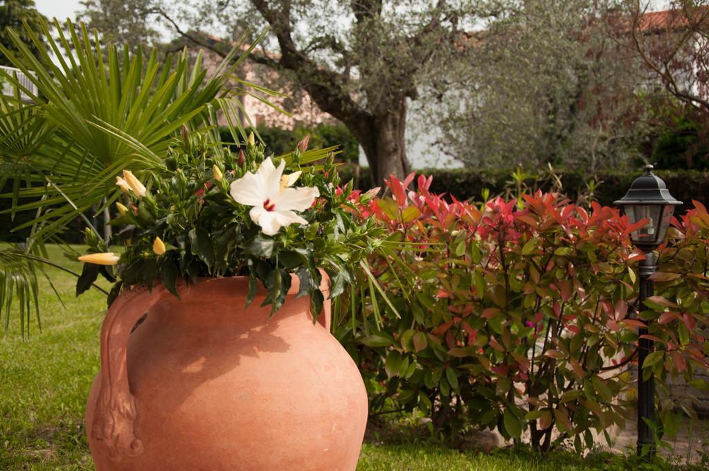 Mimosa Apartamento